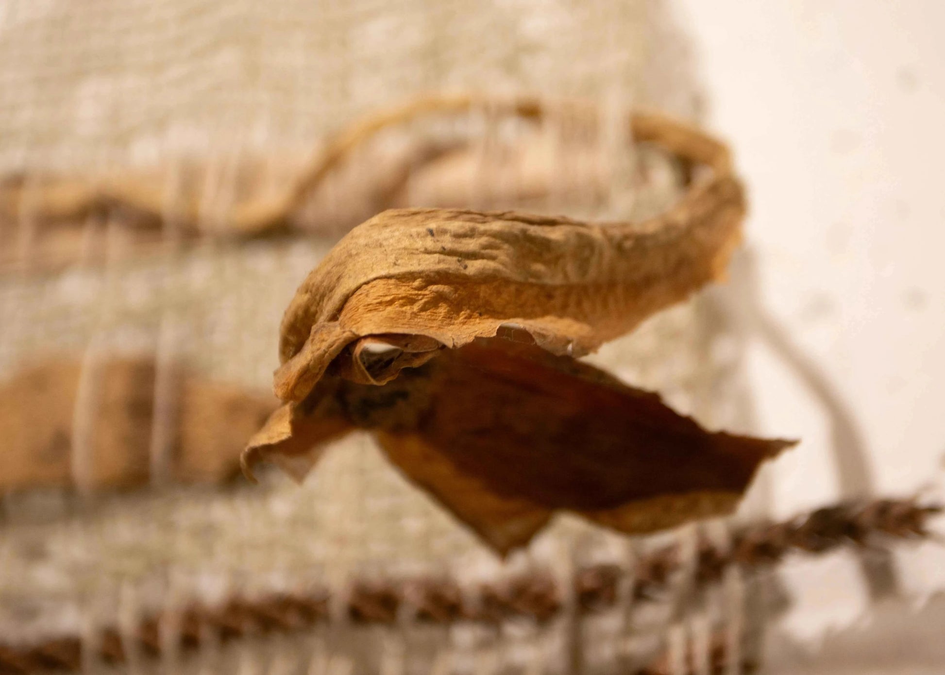 Cool wall art made from natural fibers.
