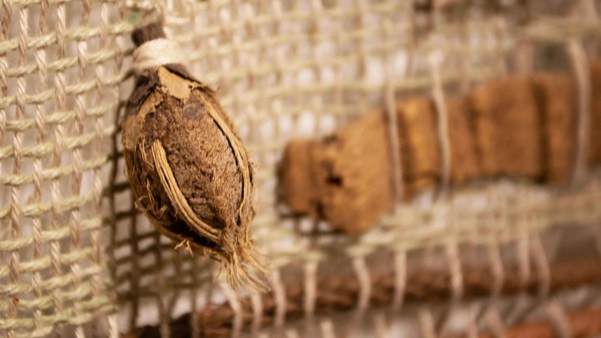 Cool wall art made from natural fibers.