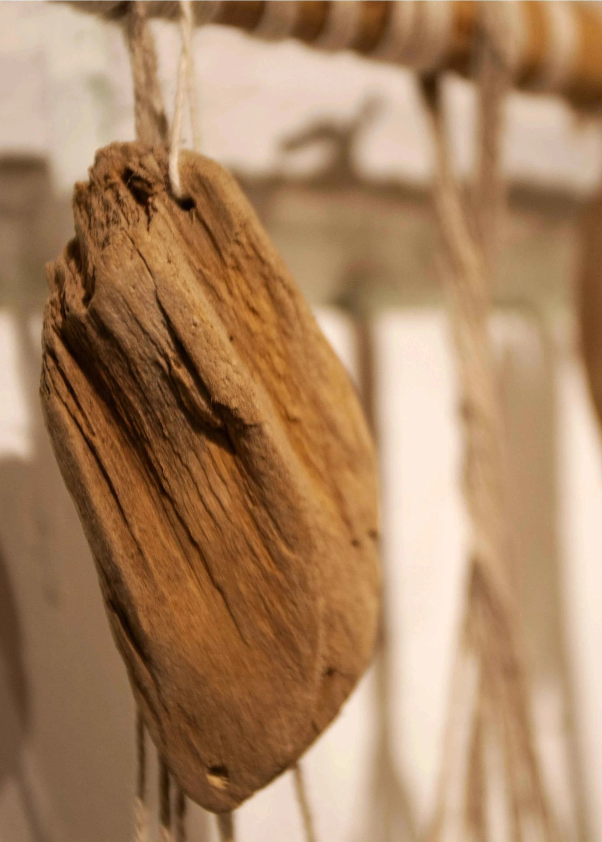Cool wall art made from natural fibers.