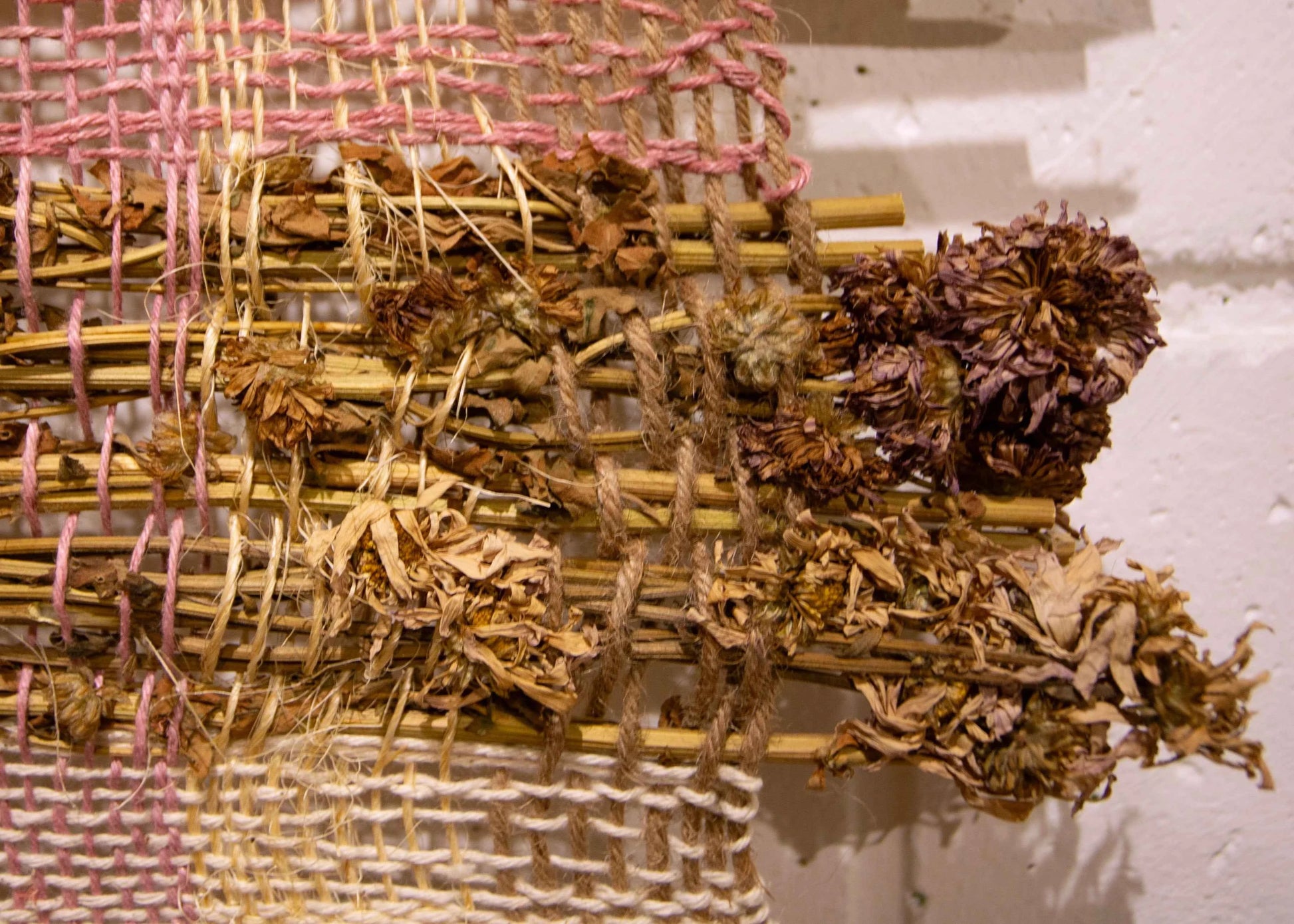 Awesome wall art using natural stuff.