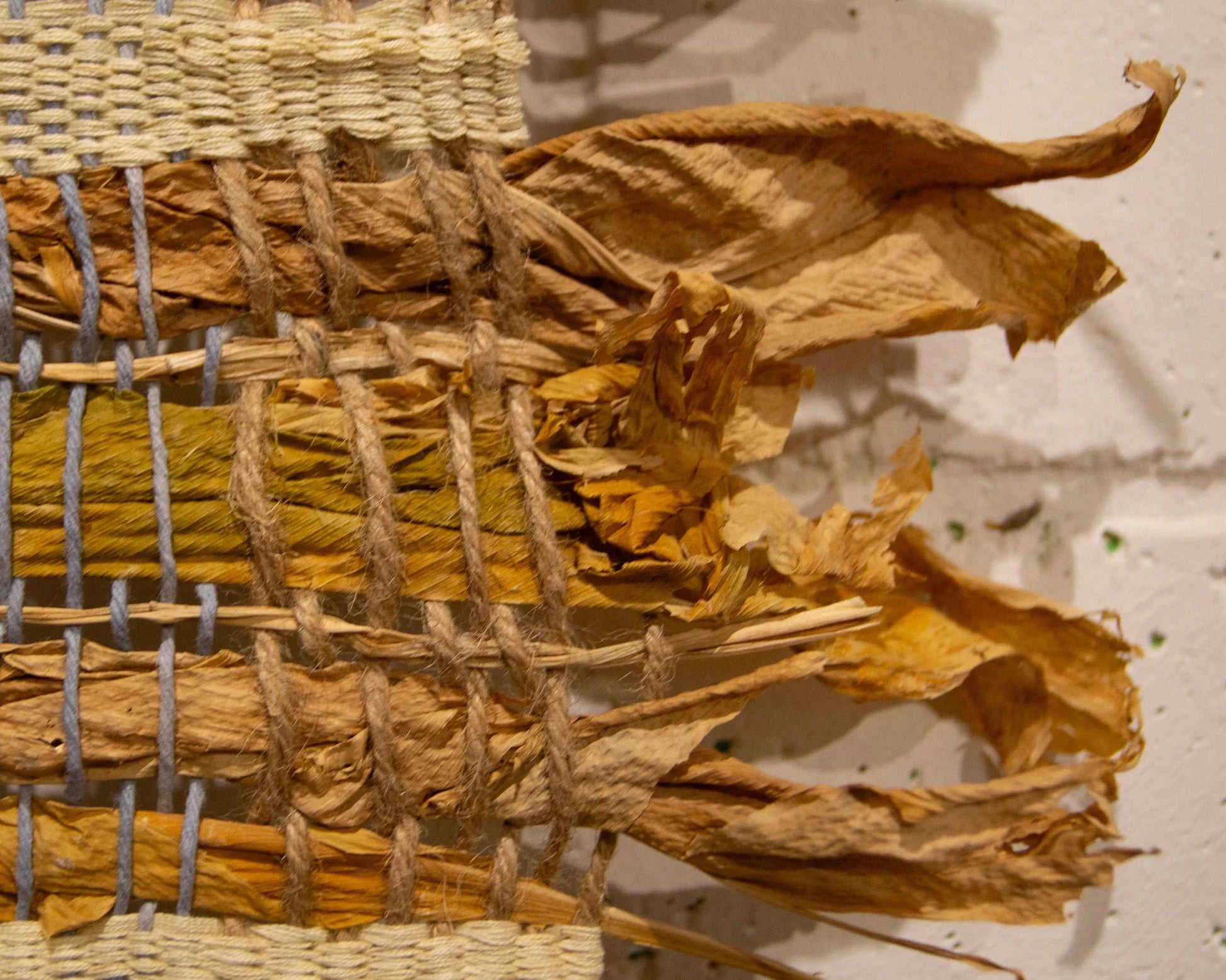 Cool wall decor made from nature.